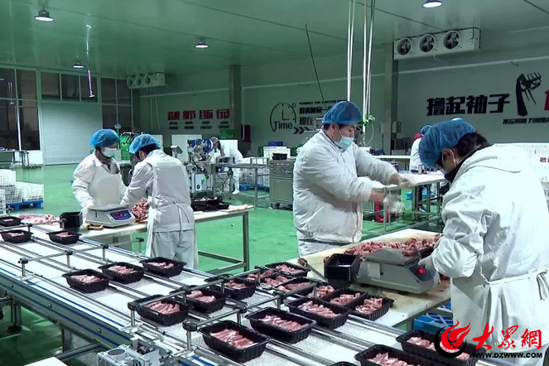 婚礼司仪:引领浪漫之旅的领航者